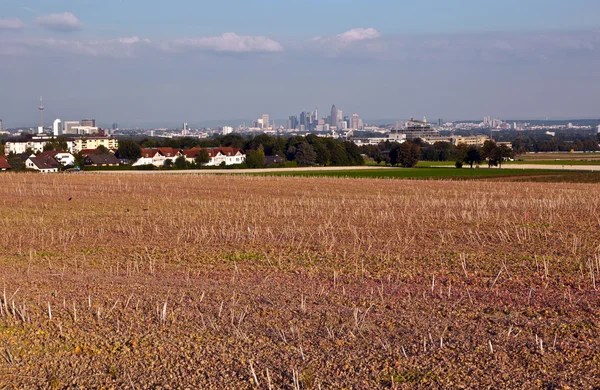 Visa till horisont av frankfurt över färgglada fält — Stockfoto