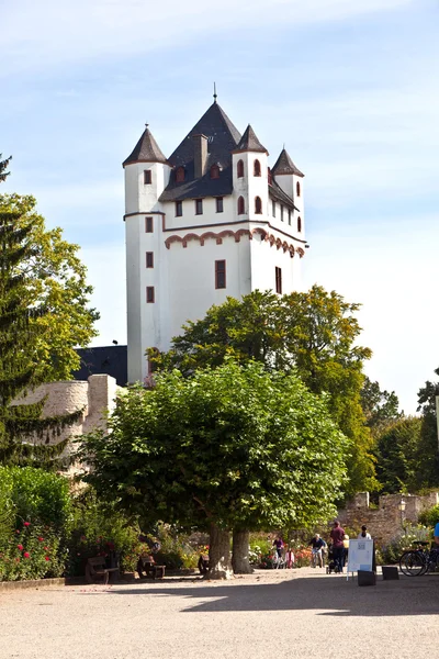 Slottet i eltville i Tyskland vid floden Rhen — Stockfoto