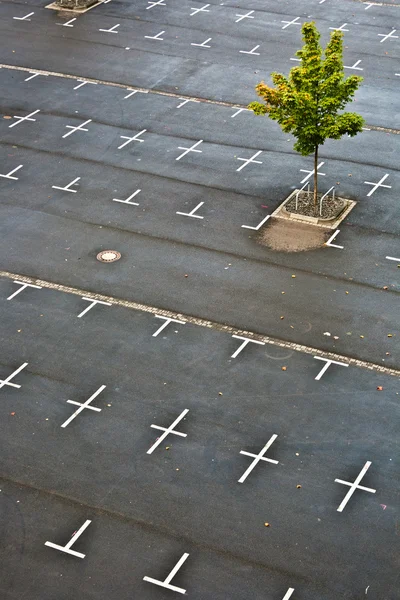 Označené parkoviště bez auta — Stock fotografie