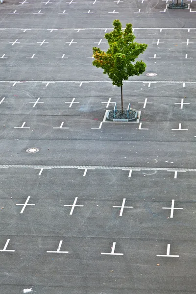 Markerade parkeringsplats utan bilar — Stockfoto