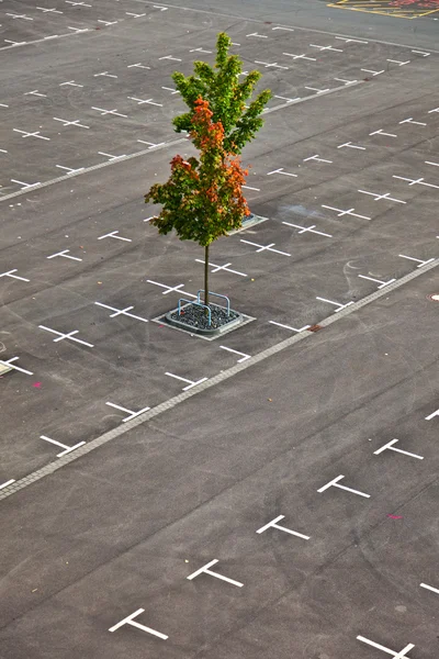 Markerade parkeringsplats utan bilar — Stockfoto