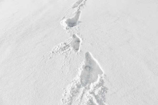 Karda ayak sesleri — Stok fotoğraf