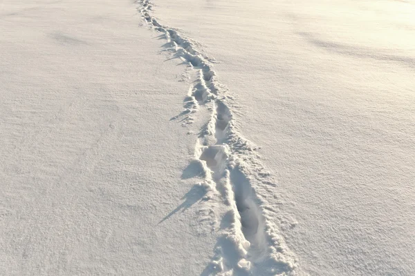 Footsteps on the snow — Stock Photo, Image