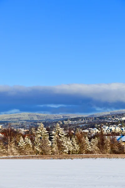 Vakkert landskap med boligområde om vinteren og blå himmel – stockfoto
