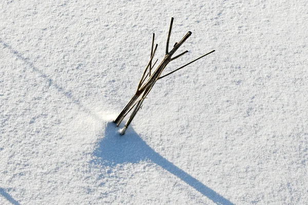 Schaduw van halm op sneeuw overdekte veld — Stockfoto