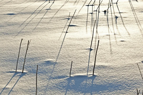 Тень халма на заснеженном поле — стоковое фото
