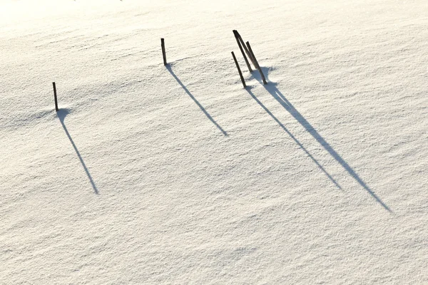 Schaduw van halm op sneeuw overdekte veld — Stockfoto