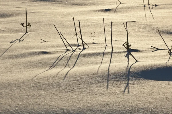 Тень халма на заснеженном поле — стоковое фото