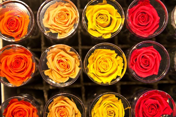Fresh roses are sold at the market — Stock Photo, Image