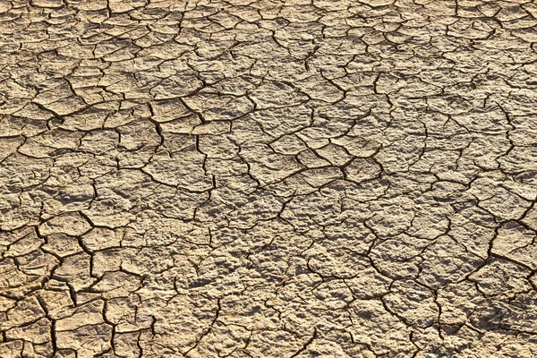 Lehm in einem Solebecken — Stockfoto