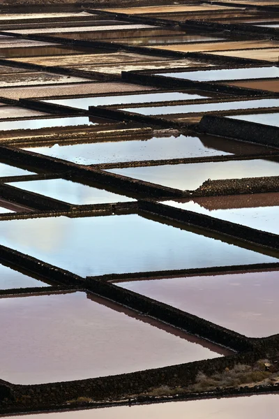 Salt raffinaderi, saltlösning från janubio, lanzarote — Stockfoto