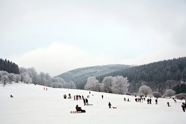 Дети катаются на санках зимой по снегу — стоковое фото
