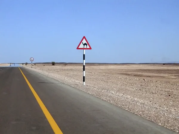 Carretera en el desierto — Foto de Stock