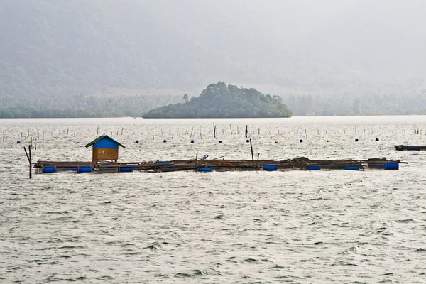 Pescadores construíram pontões de madeira para pescar — Fotografia de Stock