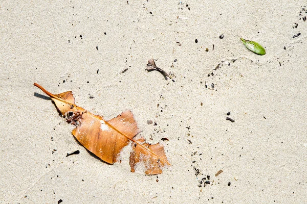 Структура оставшегося на песчаном белом пляже — стоковое фото