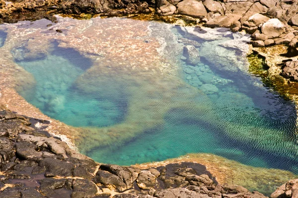 在兰萨罗特岛性质的海湾天然游泳池 免版税图库图片