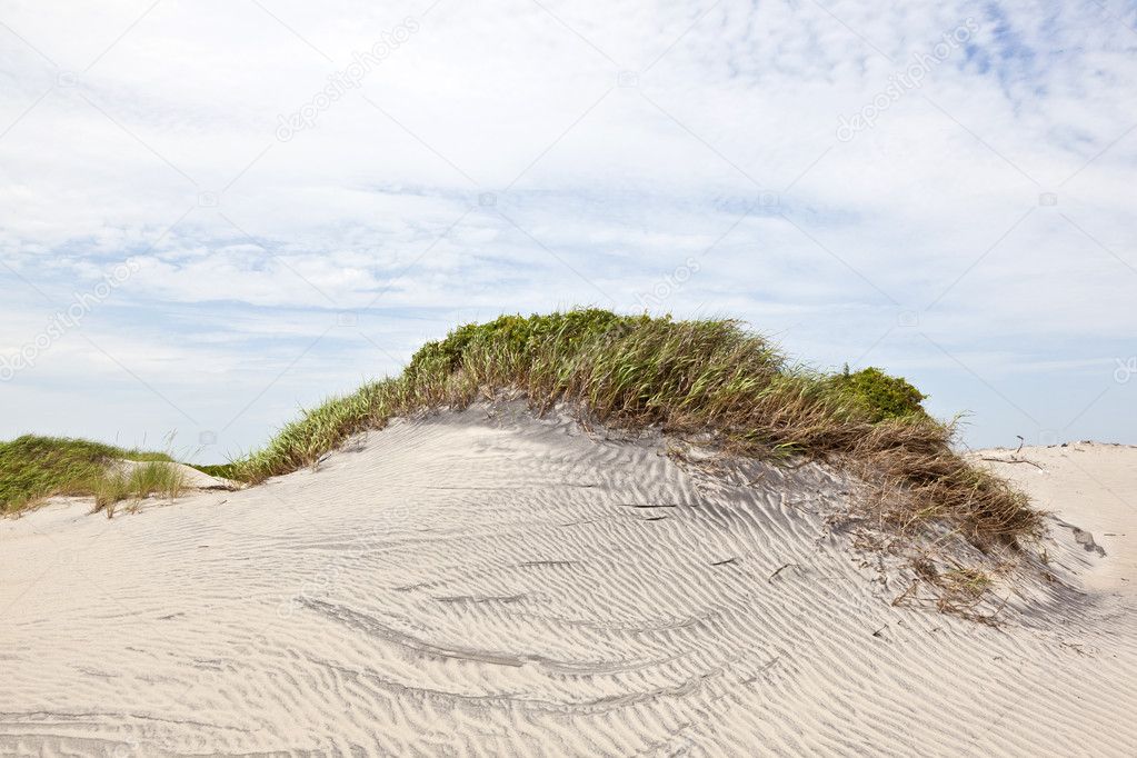Dune with grass at the sandy beach