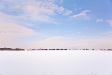 Flatland with snow in winter with trees clipart