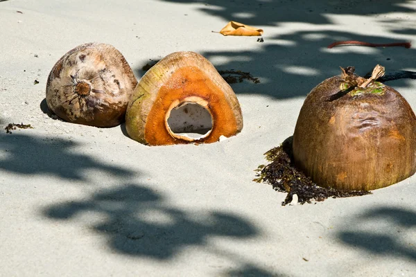 Kokosowe, leżąc na plaży biały — Zdjęcie stockowe