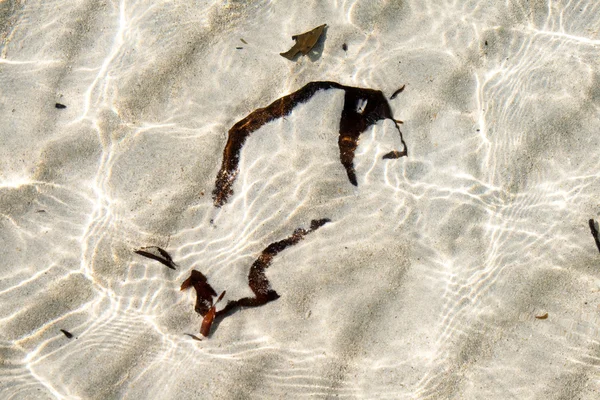 Struttura di congedo rimanendo su una spiaggia di sabbia bianca — Foto Stock