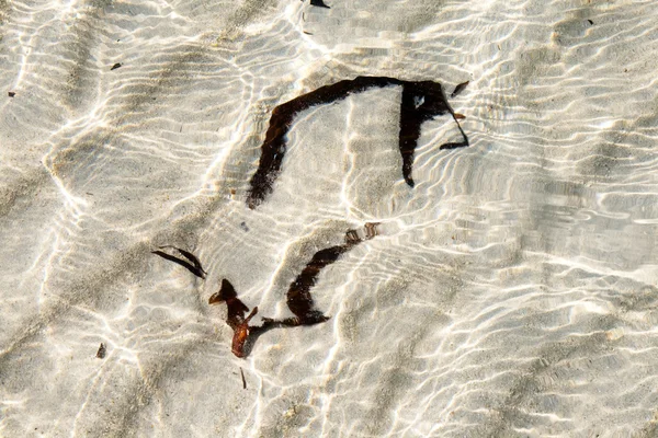 Beyaz kumlu bir plaj üzerinde kalan izin yapısı — Stok fotoğraf