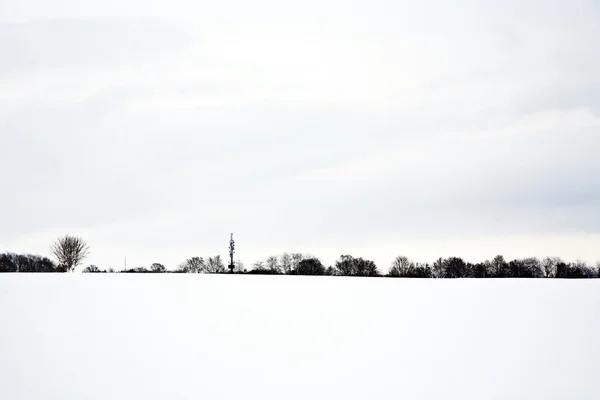 FLATLAND med snö på vintern med träd — Stockfoto