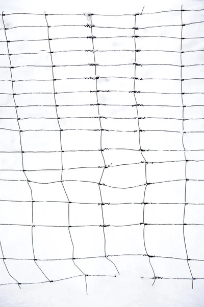 Ayrıntılı kar ile kışın metal çit — Stok fotoğraf
