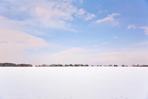 Плотина со снегом зимой с деревьями — стоковое фото