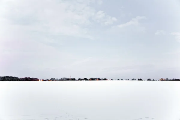 Flatland met sneeuw in de winter met bomen — Stockfoto