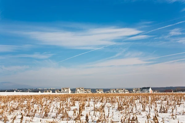 Acre covered with snow and corn from last harvest — Stock Photo, Image