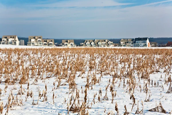 Bela paisagem com torre de água e área de habitação no inverno e sk azul — Fotografia de Stock