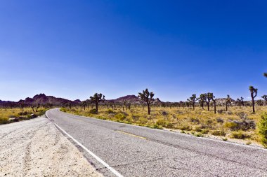 sokmak joshua tree national park Caddesi