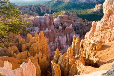 Beautiful landscape in Bryce Canyon with magnificent Stone forma clipart