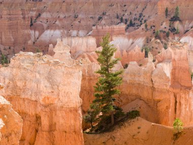 güzel manzara muhteşem taş forma ile bryce canyon