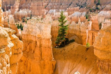 Navajo Loop Trail - Wall Street: Bryce Canyon National Park clipart