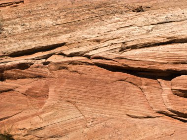 Zion national park