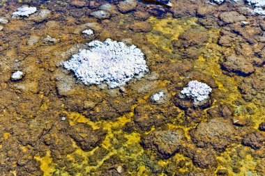 Badwater, ABD, mineraller ile karışık saltsee en derin noktası