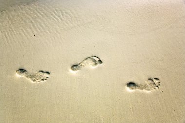 Human adult footprint in the fine sand at the beach clipart