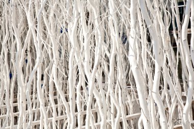 White painted branches give a harmonic background clipart