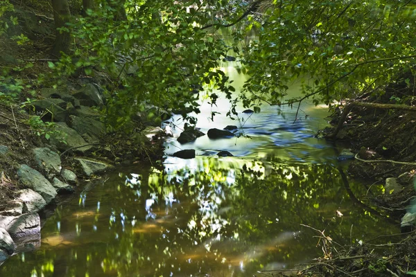 Beautiful small creek surrounded by green trees — Stock Photo, Image