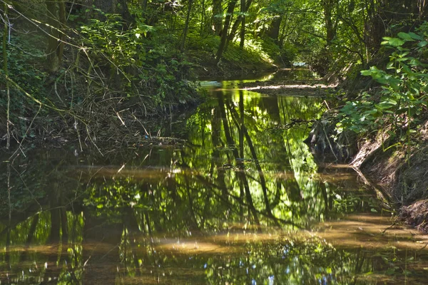 Krásný malý potok obklopen zelenými stromy — Stock fotografie