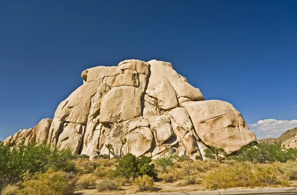 Joshúa árbol con rocas en Joshua árbol parque nacional —  Fotos de Stock