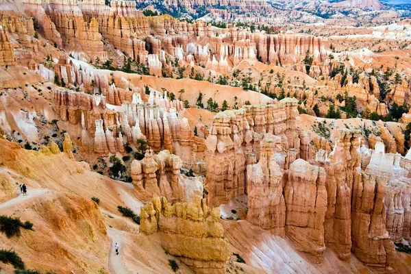 Formazioni rocciose hoodoo uniche e colorate nel Bryce Canyon — Foto Stock