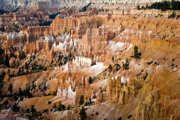 Hoodoo jedinečné a barevné skalní útvary v bryce canyon — Stock fotografie