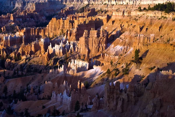 Unika och färgglada hoodoo klippformationer i bryce canyon — Stockfoto
