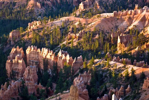 Unique and colorful hoodoo rock formations in the Bryce Canyon — Stock Photo, Image