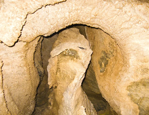 크리스탈 동굴 세쿼이아 — 스톡 사진