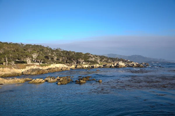 Línea costera en Point Lobos en Sunset —  Fotos de Stock