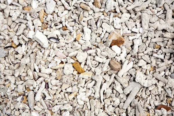 Красивые структурированные камни на пляже в гармоничной форме дает — стоковое фото