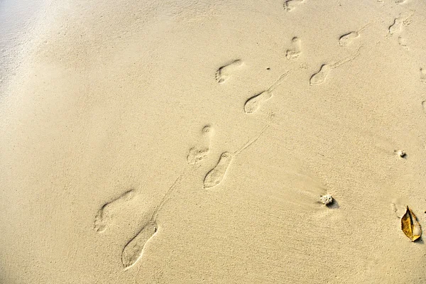 人类的成人足迹在海滩上的细砂 — 图库照片